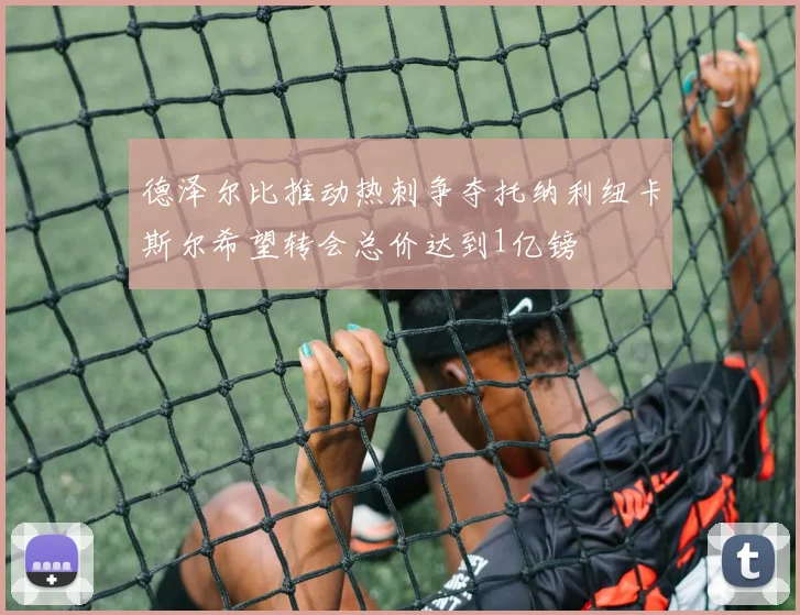 德泽尔比推动热刺争夺托纳利纽卡斯尔希望转会总价达到1亿镑