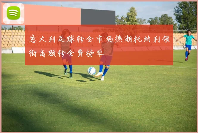 意大利足球转会市场热潮托纳利领衔高额转会费榜单